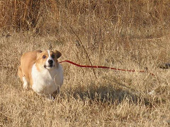 Resize of P2_thumb.jpg